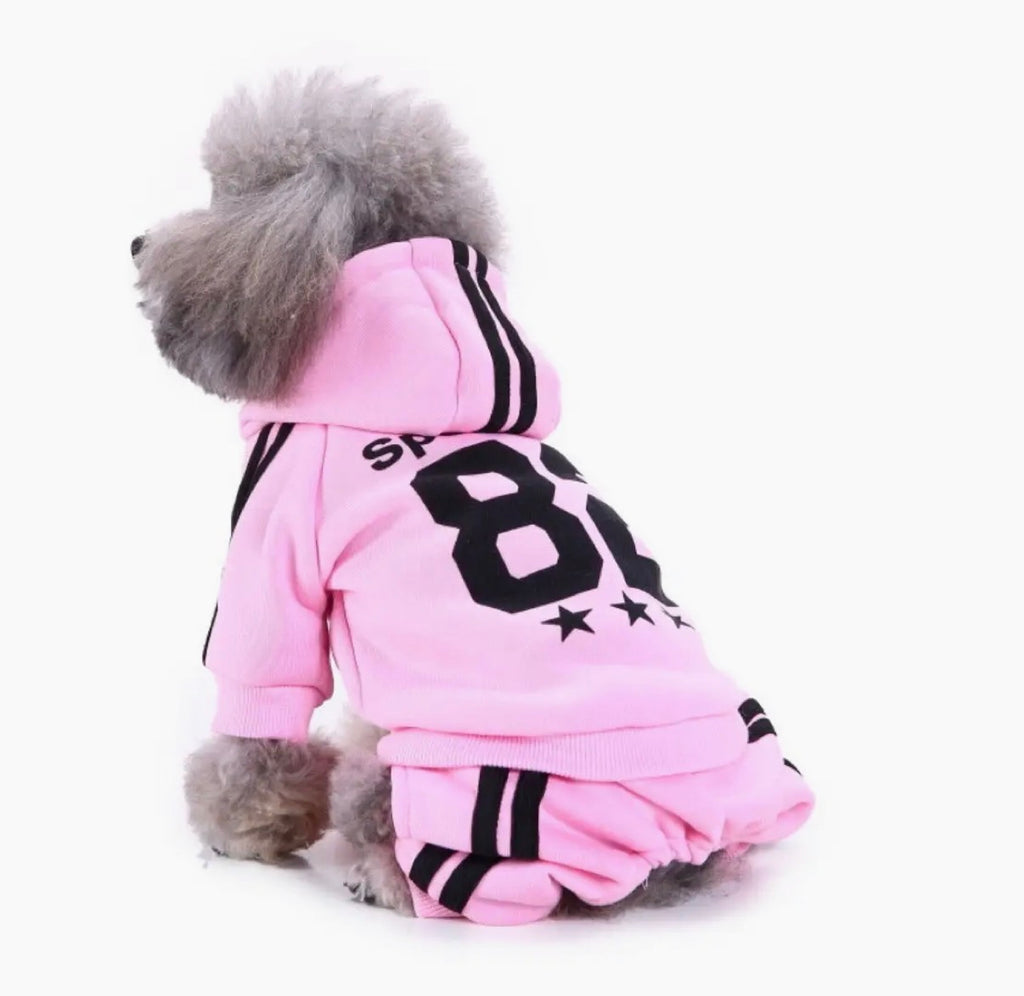 Pet Winter Warm Sportswear