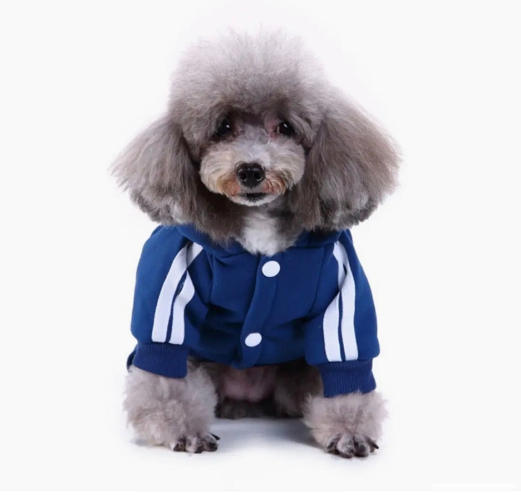 Pet Winter Warm Sportswear