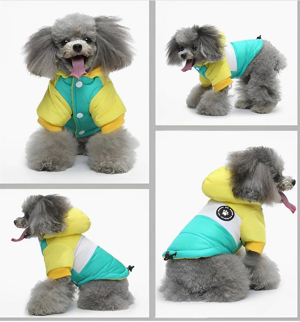 Ozzie Dog Winter Coat - Cozy, Chic Protection For Your Pup