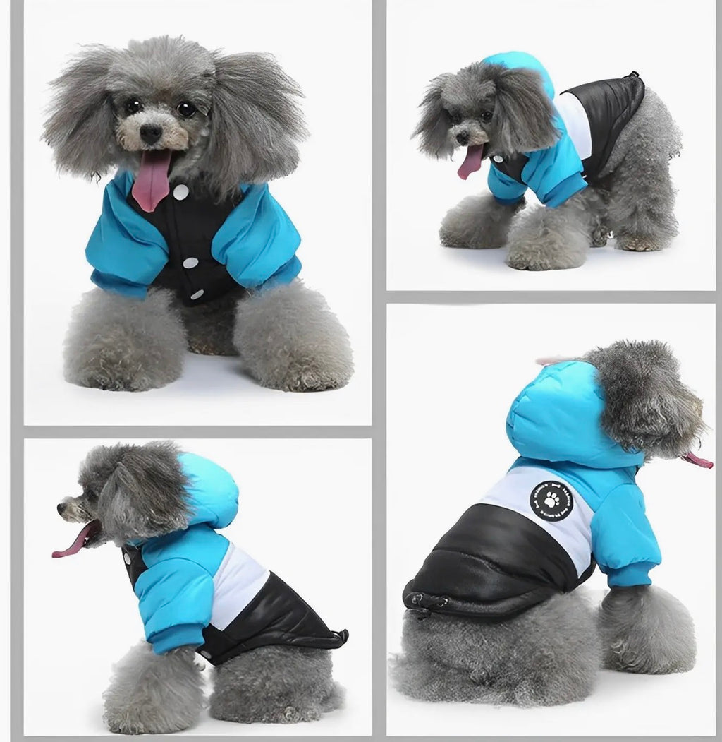 Ozzie Dog Winter Coat - Cozy, Chic Protection For Your Pup