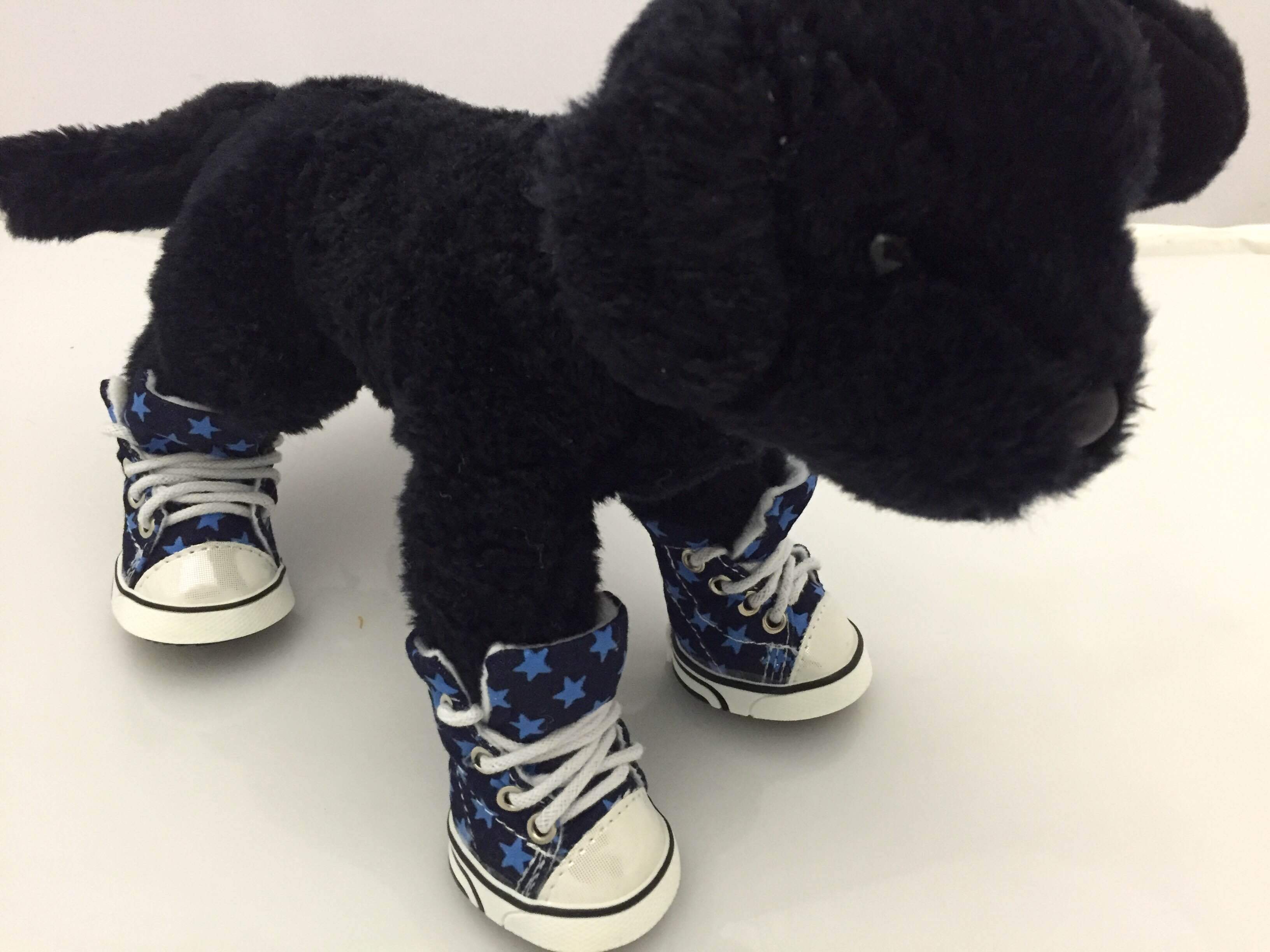 Cali Bleu Star Chucks