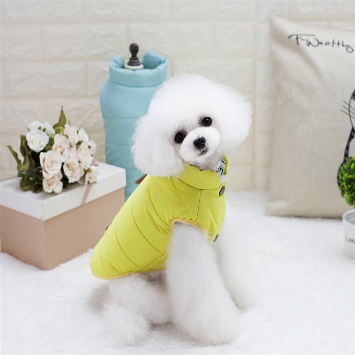 Brooklyn Bella Fashionable Cozy Doggie Vests