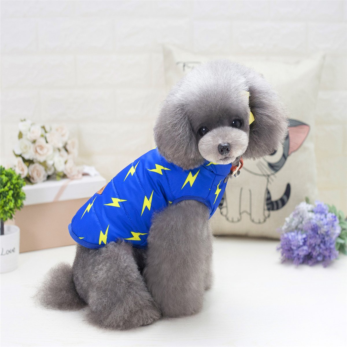 Brooklyn Bleu Thunder Dog Vest